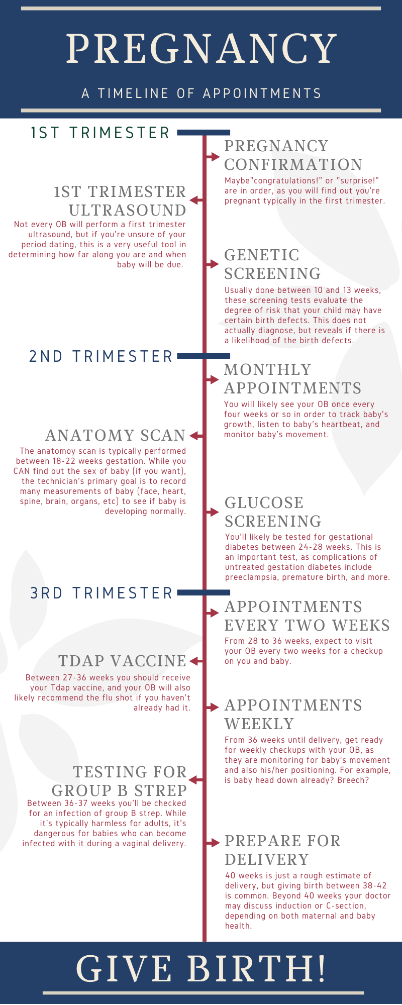 Pregnancy A Timeline Of Appointments Agape Womens Services 6373