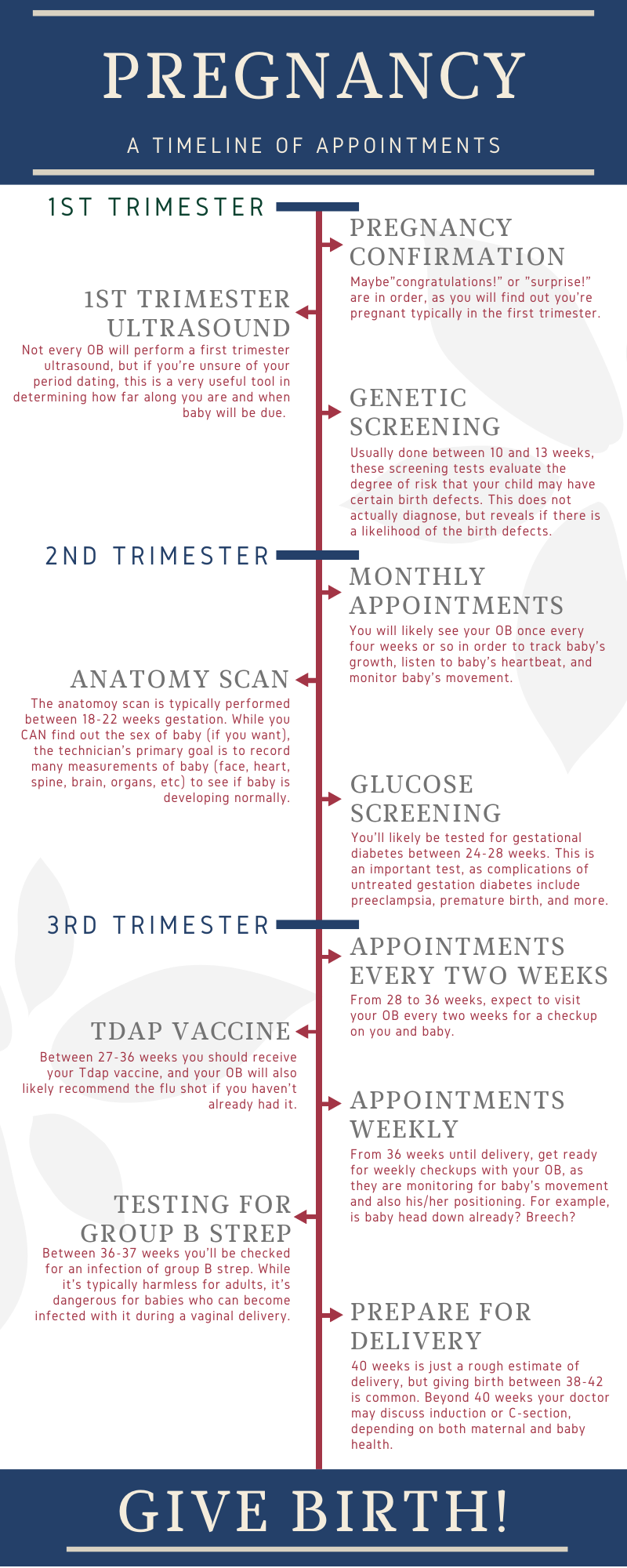 Pregnancy A Timeline Of Appointments Agape Women s Services